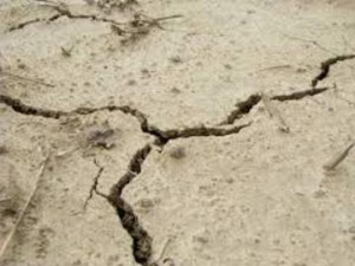 Mild tremors jolt Nellore district